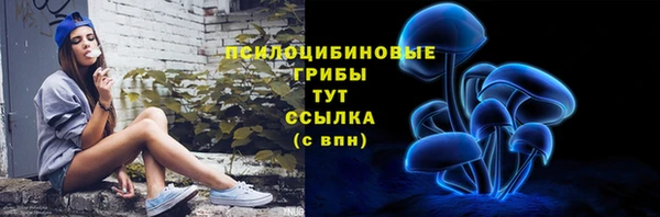 ECSTASY Мегион