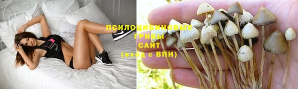 ECSTASY Мегион
