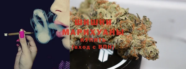spice Медногорск