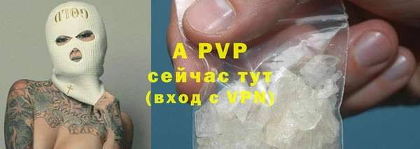 ECSTASY Мегион
