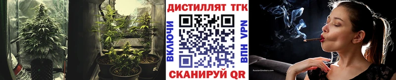 МЕГА как зайти  Королёв  ТГК THC oil 