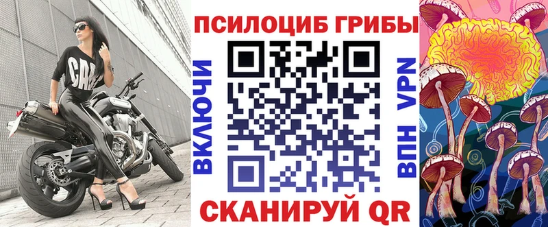 Псилоцибиновые грибы Magic Shrooms  blacksprut онион  Королёв 
